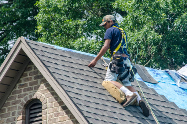 Best Roof Gutter Cleaning  in Old Miakka, FL